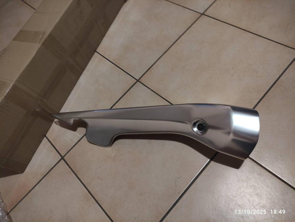 Paracalore Suzuki (4)