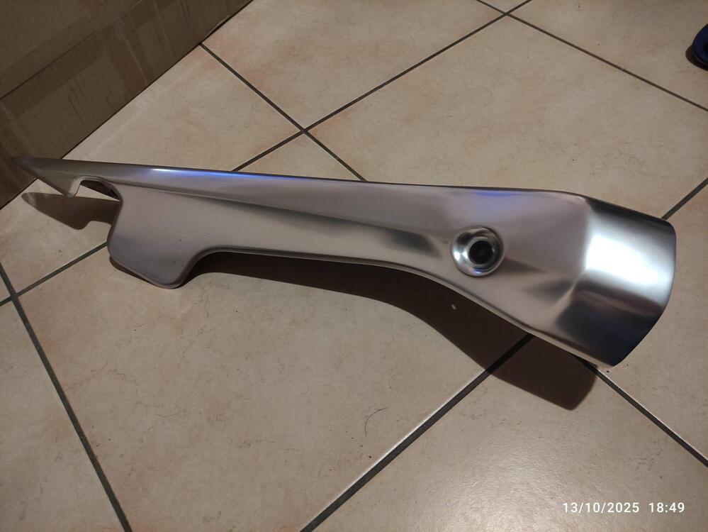 Paracalore Suzuki (5)