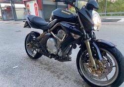 Kawasaki ER-6N (2005 - 08) usata