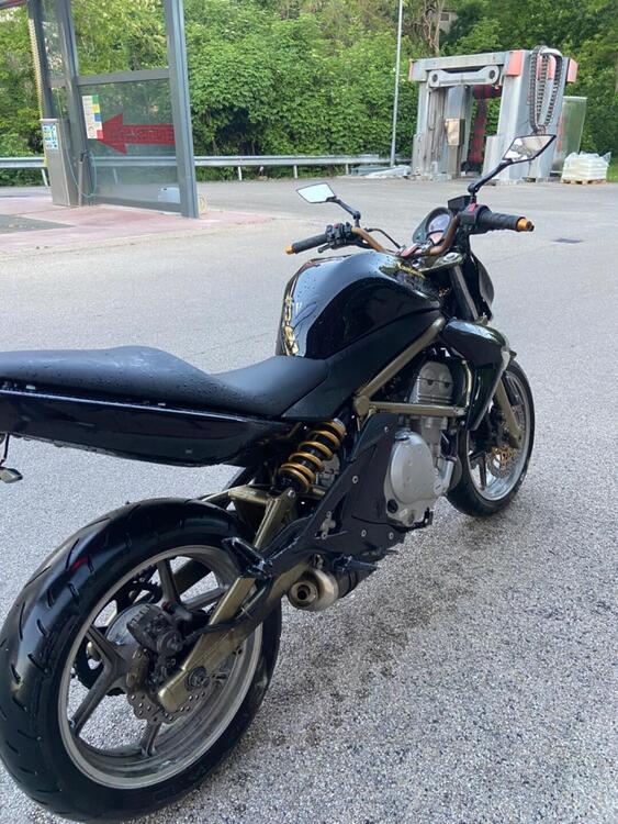 Kawasaki ER-6N (2005 - 08) (2)