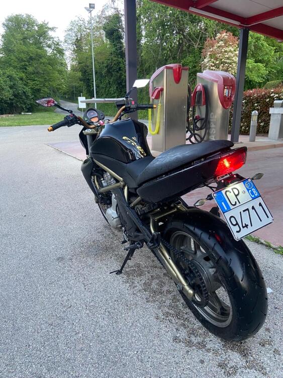 Kawasaki ER-6N (2005 - 08) (3)