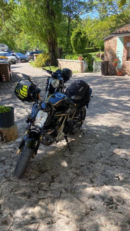 Kawasaki ER-6N (2005 - 08) (4)