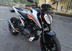 KTM 390 Duke (2021 - 23) usata