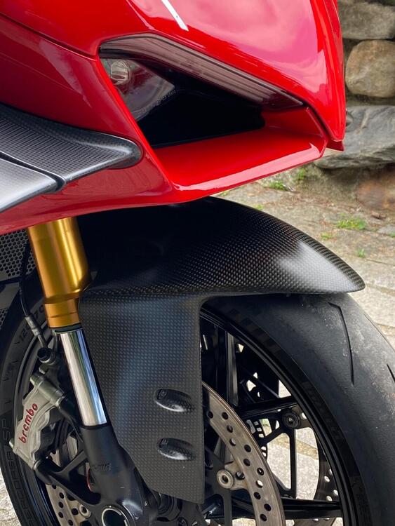 Ducati Panigale V4 1100 (2018 - 19) (5)