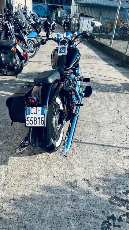 Harley-Davidson 1450 Heritage Springer Classic (2005 - 07) - FLSTSC (3)