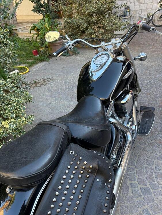 Yamaha XVS 1600 Wild Star (3)