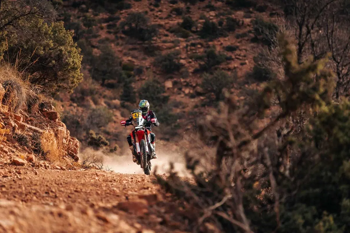 Rally-Raid. Marocco, il via.  Contesto interessante, Marc Coma Direttore e bagarre totale [VIDEO] (3)
