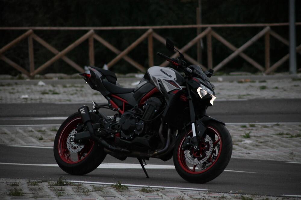 Kawasaki Z 900 Performance (2021 - 24)