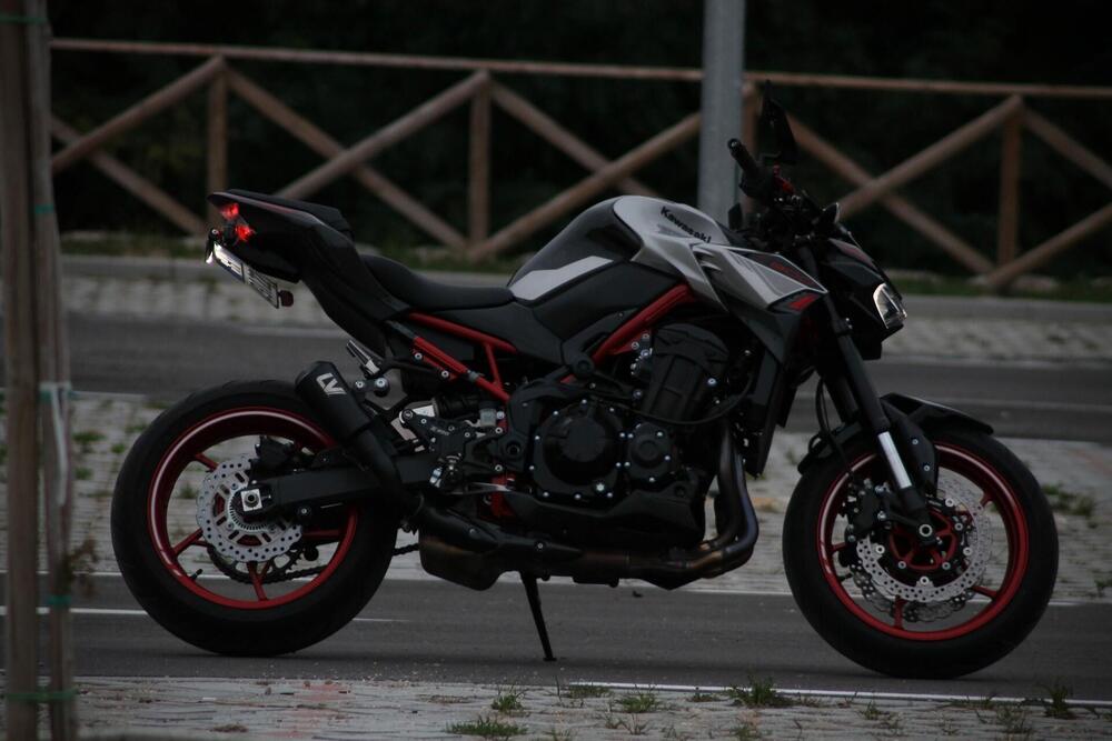 Kawasaki Z 900 Performance (2021 - 24) (3)