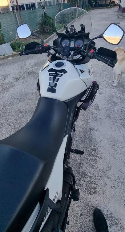 Suzuki V-Strom 650 Traveller ABS (2008 - 11) (4)