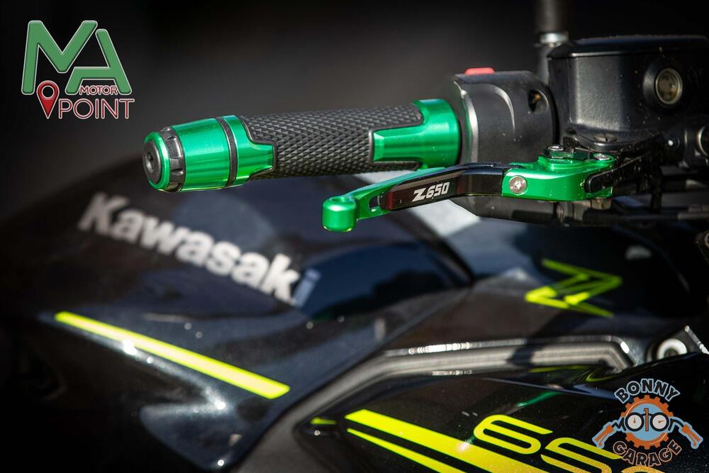 Kawasaki Z 650 (2020) (2)