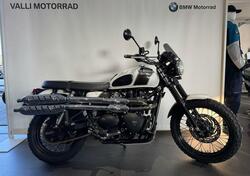 Triumph Scrambler (2006 - 17) usata