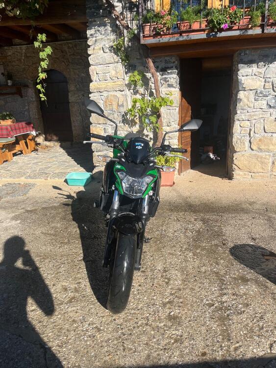 Kawasaki Z 650 (2017 - 19) (3)