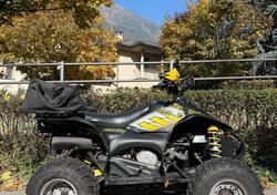 Polaris Scrambler 500 E 4x4 (2007 - 11) usata