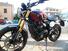 Triumph Scrambler 400 X (2024 - 25) (6)