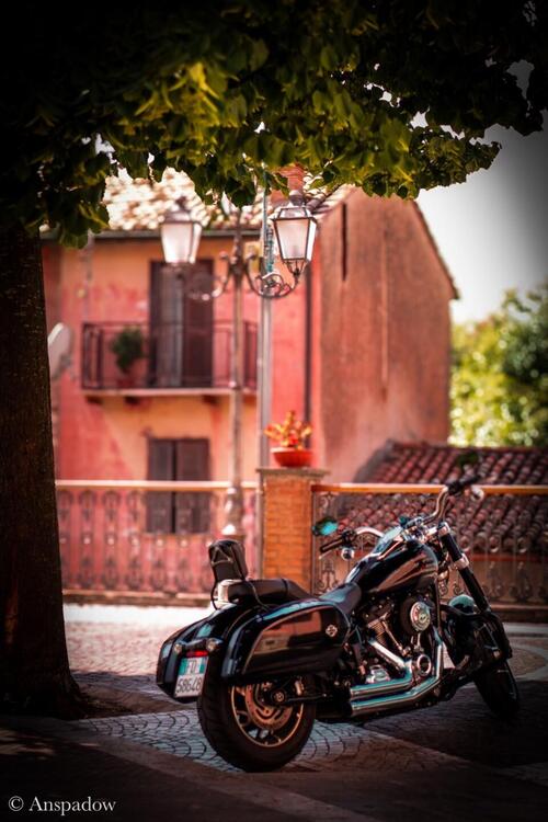 Harley-Davidson Sport Glide (2021 - 25) (3)