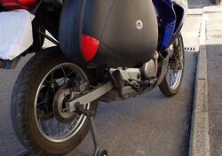 Honda Transalp XL 650V (2000 - 04) usata