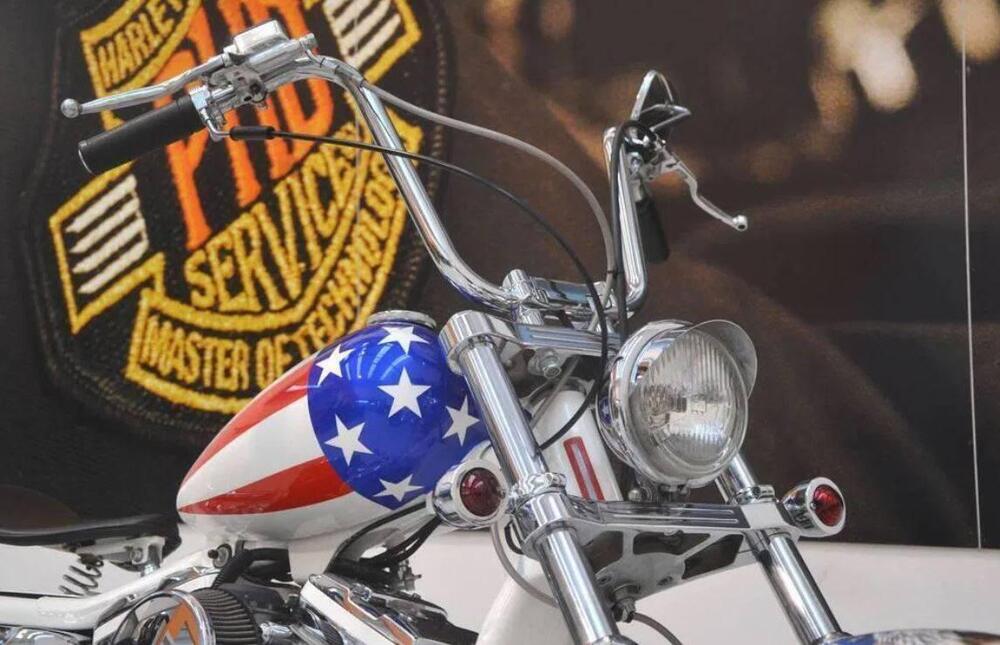 Harley-Davidson 883 Hugger (1994 - 00) - XLH (5)