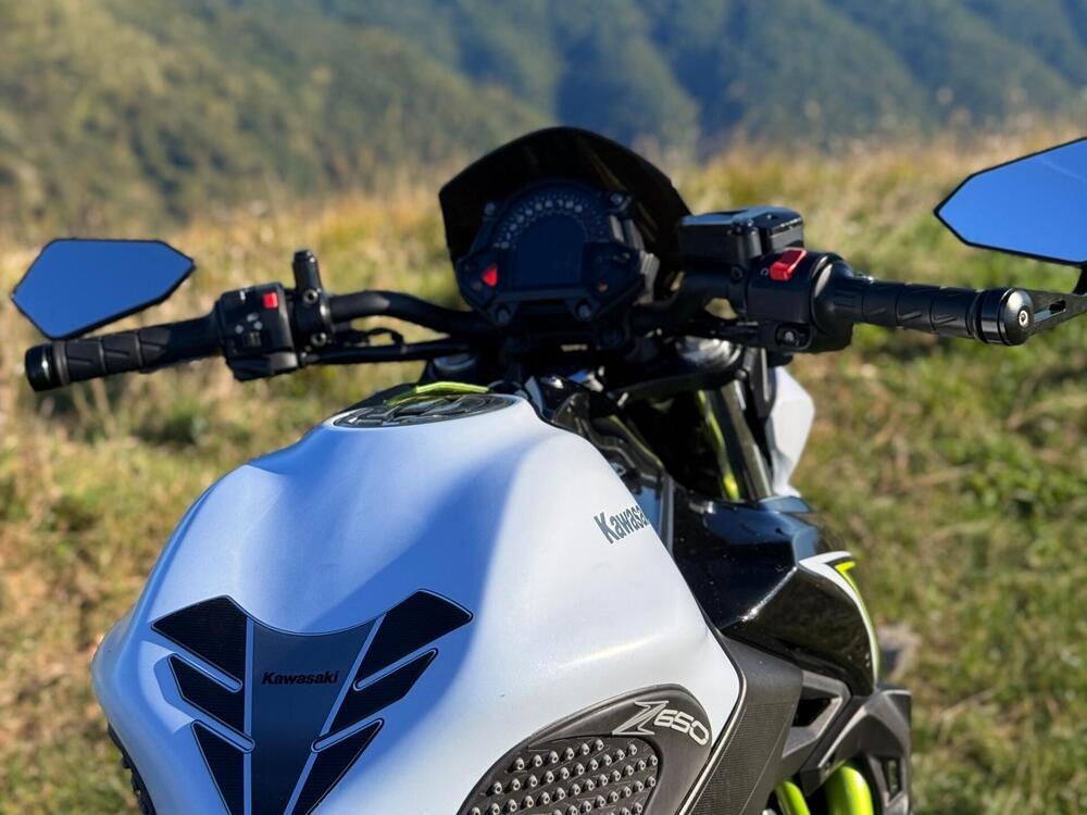 Kawasaki Z 650 (2017 - 19) (5)