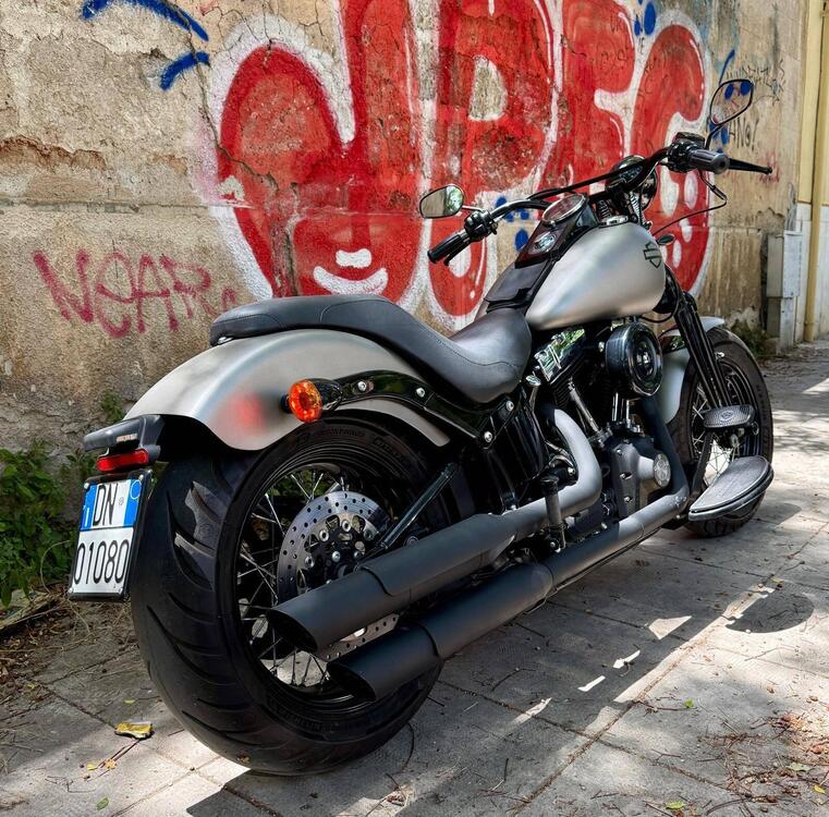 Harley-Davidson 1584 Cross Bones (2008 - 11) - FLSTSB (3)