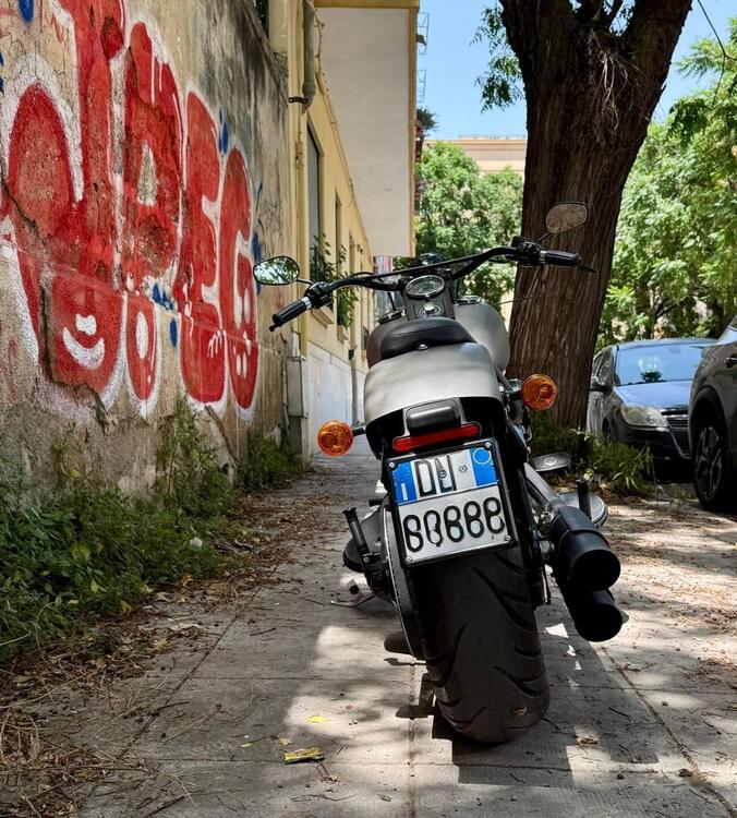 Harley-Davidson 1584 Cross Bones (2008 - 11) - FLSTSB (4)