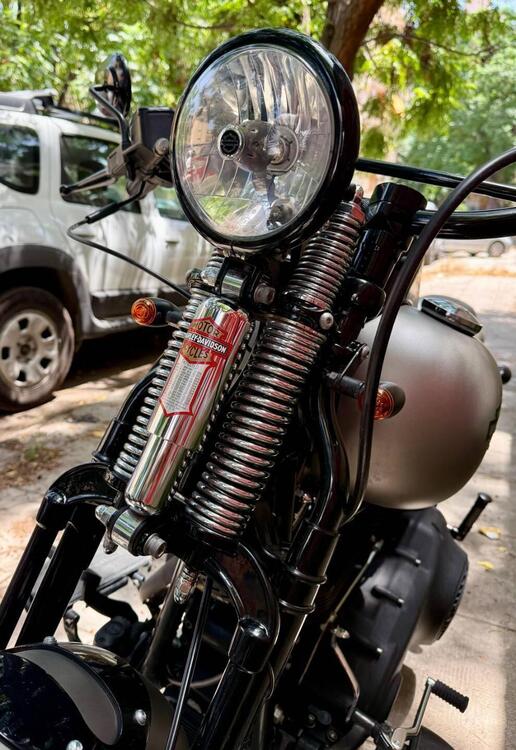 Harley-Davidson 1584 Cross Bones (2008 - 11) - FLSTSB (5)