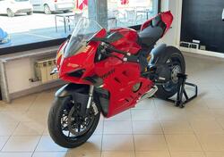 Ducati Panigale V4 (2022 - 24) usata