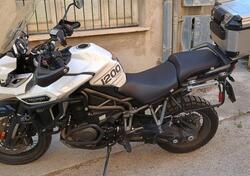 Triumph Tiger 1200 XCx (2018 - 20) usata