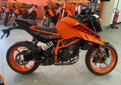 KTM 390 Duke (2024 - 26) nuova