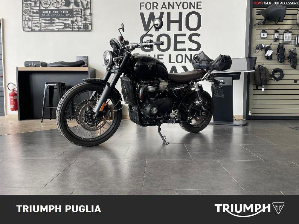 Triumph Scrambler 1200 X (2024 - 25) (2)