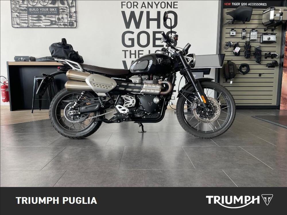 Triumph Scrambler 1200 X (2024 - 25) (4)