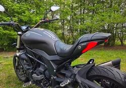 Benelli 502 C (2019 - 20) usata