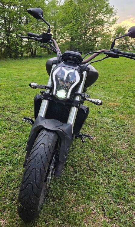 Benelli 502 C (2019 - 20) (5)