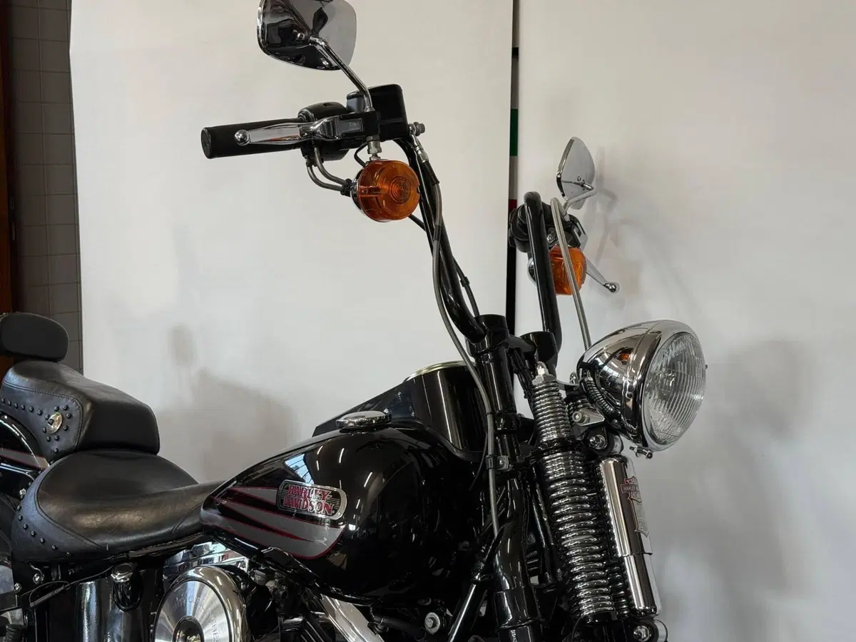 Harley-Davidson 1340 Heritage Springer (1997 - 99) - FLSTS (13)