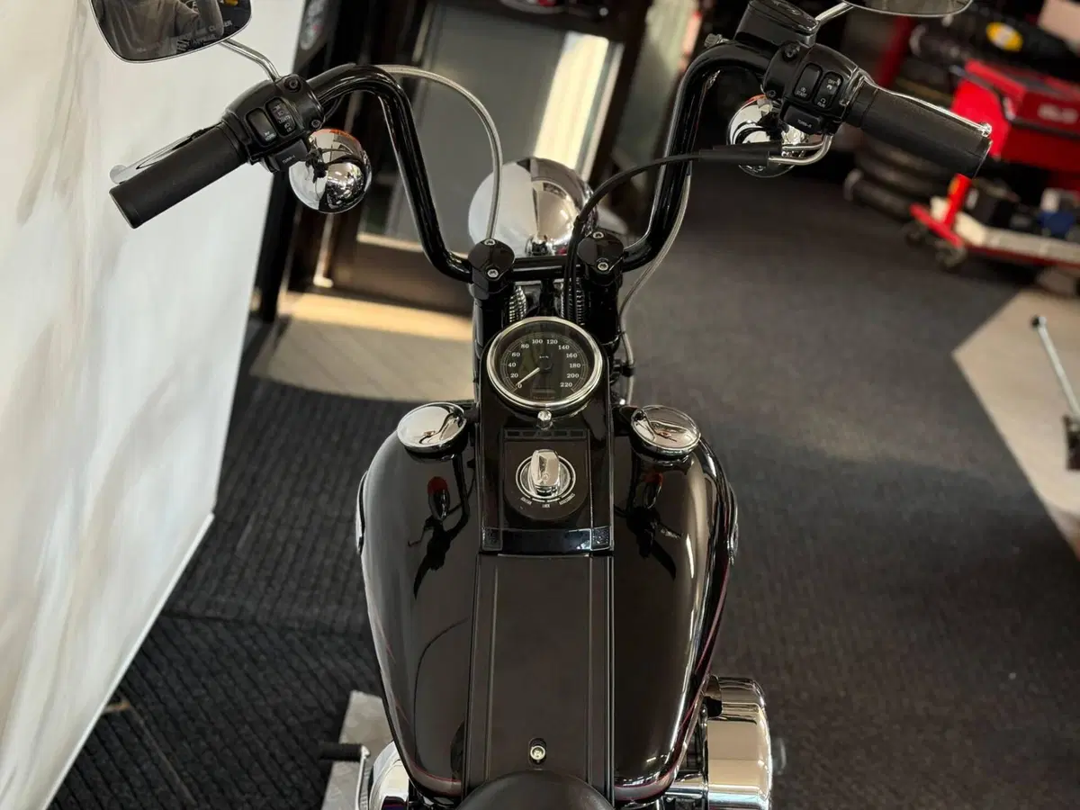 Harley-Davidson 1340 Heritage Springer (1997 - 99) - FLSTS (17)