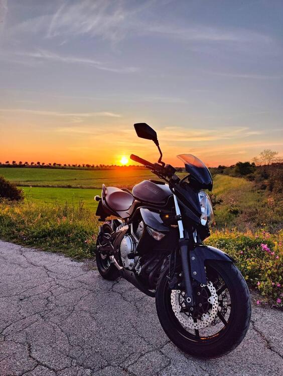 Kawasaki ER-6N (2005 - 08)