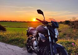 Kawasaki ER-6N (2005 - 08) usata