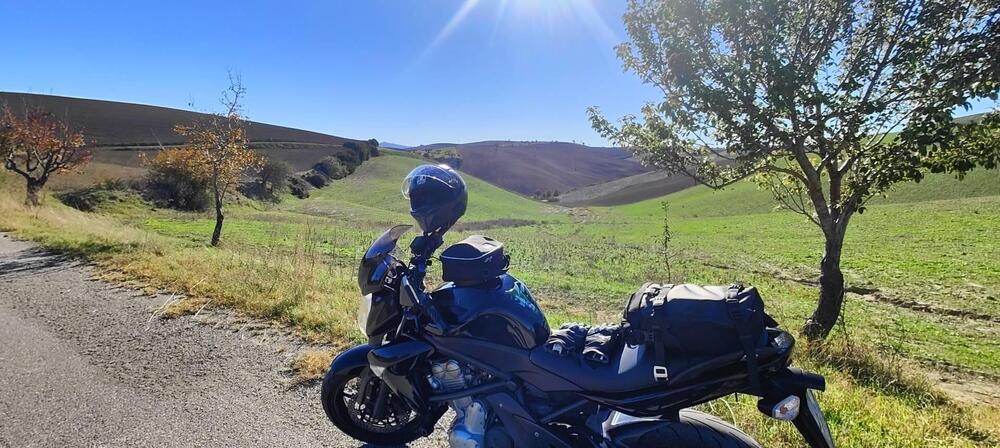 Kawasaki ER-6N (2005 - 08) (3)