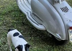 Innocenti Lambretta 125 LI Special d'epoca