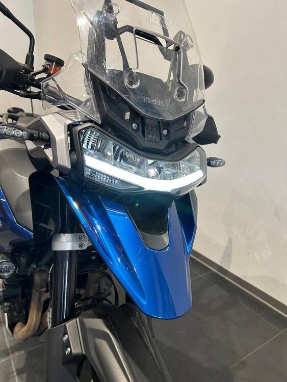 Triumph Tiger 1200 GT Pro (2024 - 25) (5)