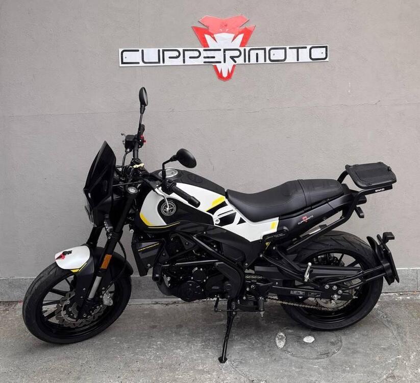 Benelli Leoncino 250 (2021 - 25) (2)