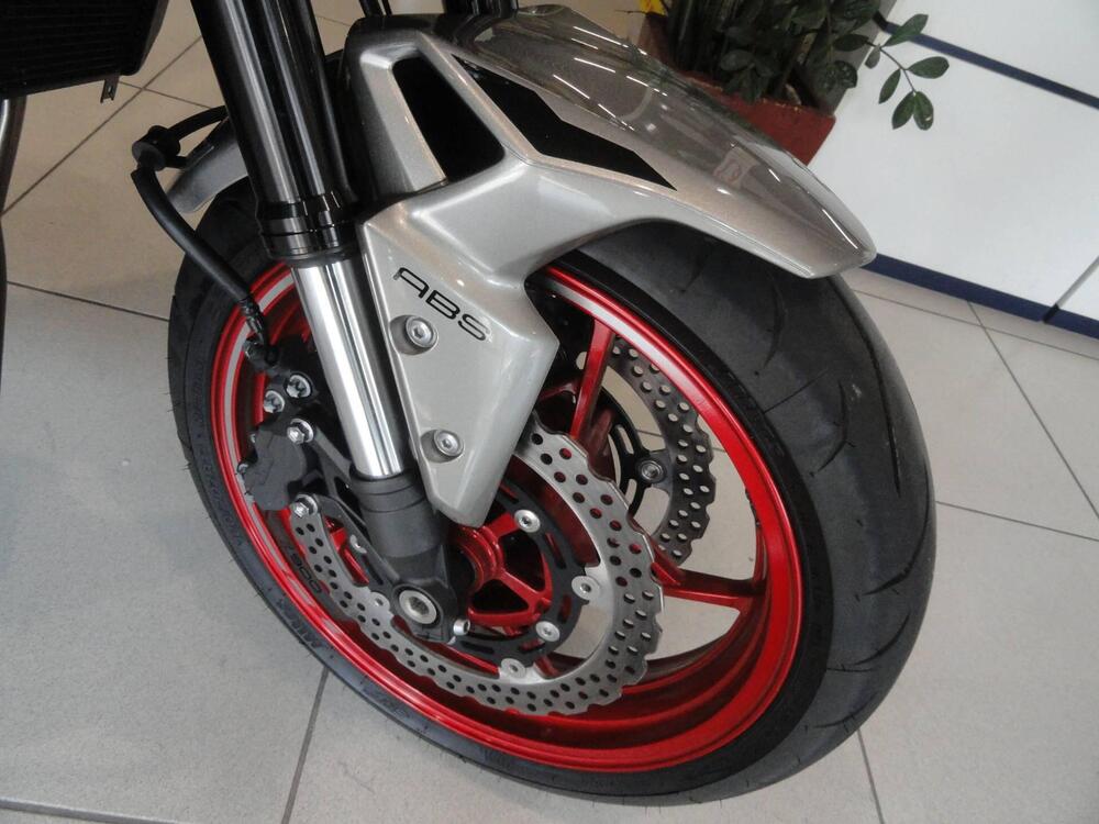 Kawasaki Z 900 (2025 - 26) (4)