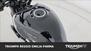 Triumph Trident 660 (2025) (12)