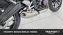 Triumph Trident 660 (2025) (16)