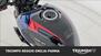 Triumph Trident 660 Triple Tribute Edition (2024) (11)