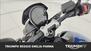 Triumph Trident 660 Triple Tribute Edition (2024) (9)