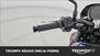 Triumph Trident 660 Triple Tribute Edition (2024) (10)