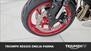 Triumph Trident 660 Triple Tribute Edition (2024) (20)