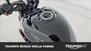 Triumph Trident 660 (2025) (12)