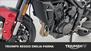 Triumph Trident 660 (2025) (23)